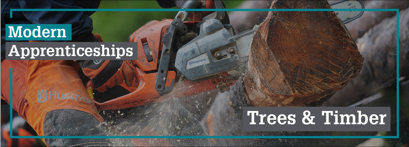 Modern Apprenticeship in Trees and Timber