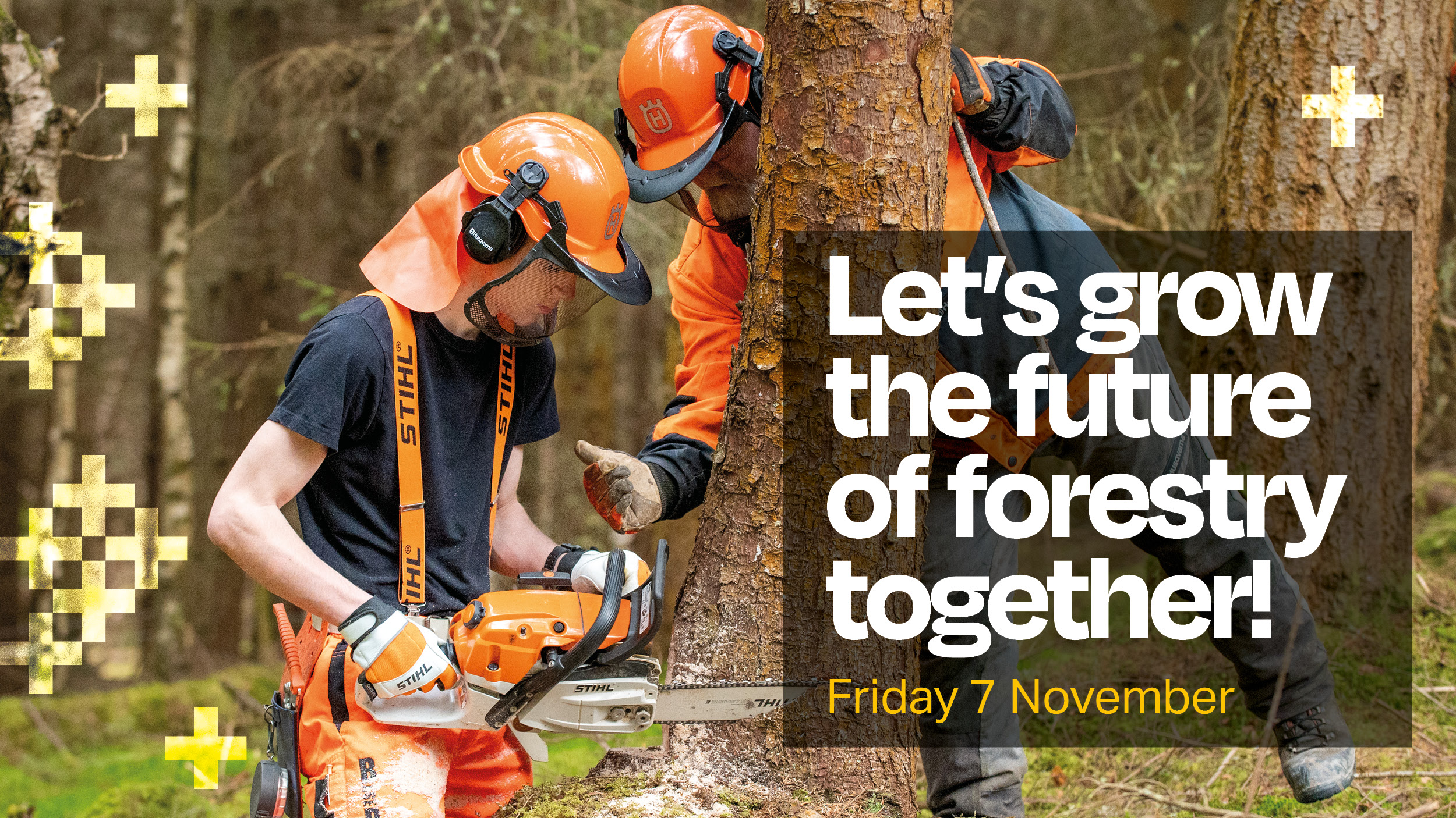 Let's grow the future of forestry together Let's grow the future of forestry together