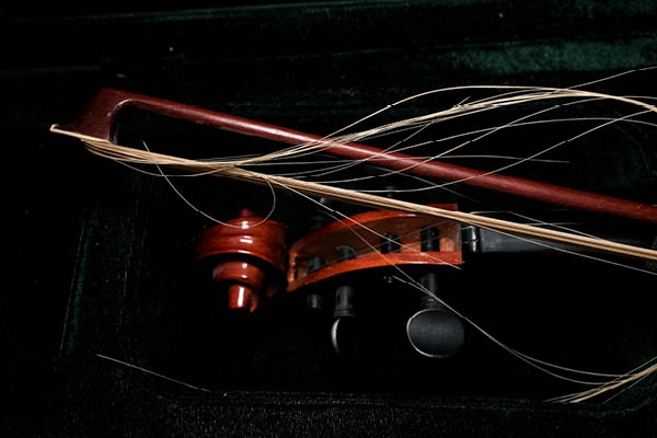 Violin and bow