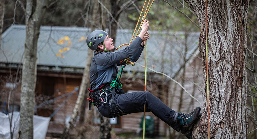 Forestry student climbing