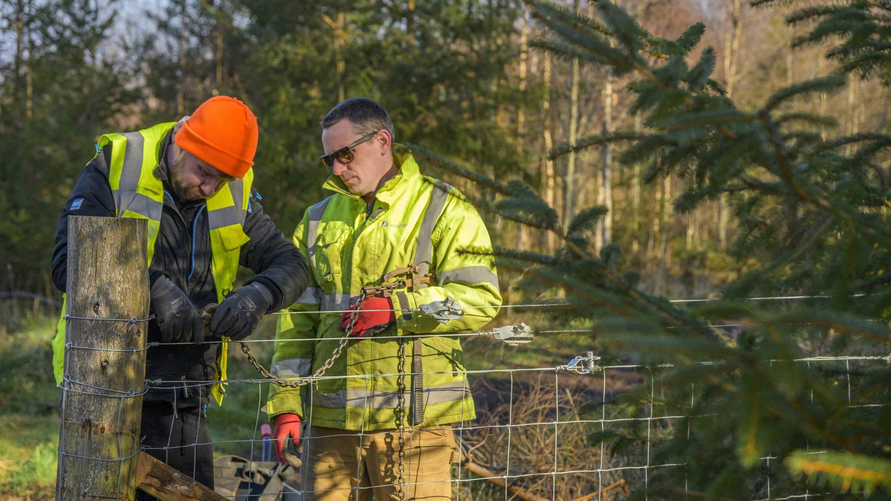 Students fixing a fence