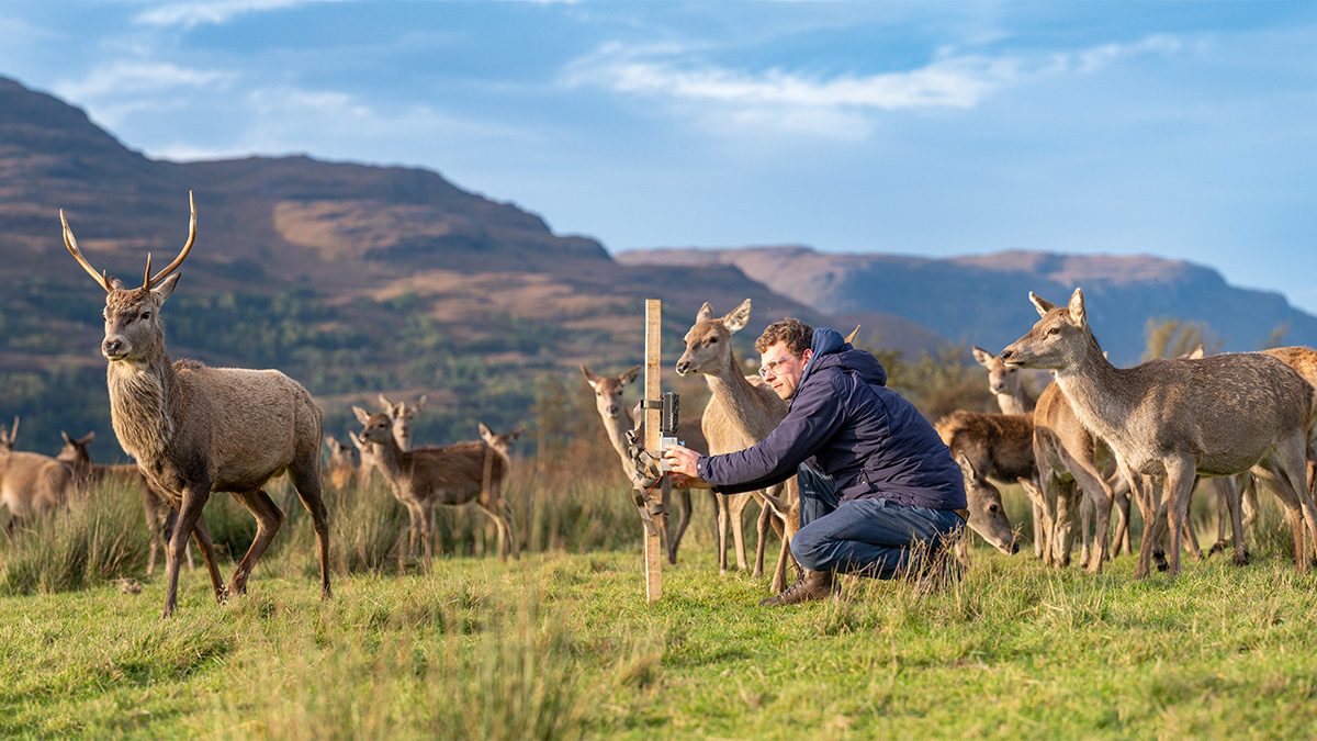 Innovative deer deterrent developed by UHI Inverness knowledge partnership
