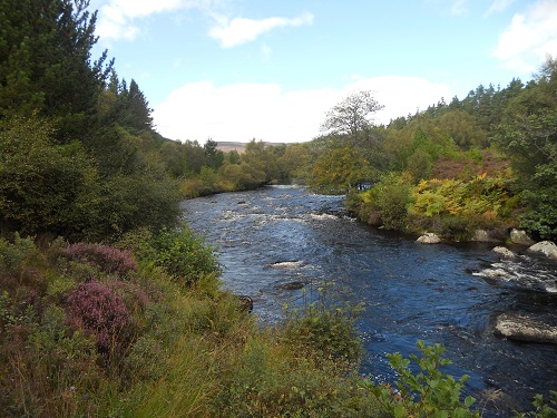 Citizen science project will contribute to improvement of river eco-systems