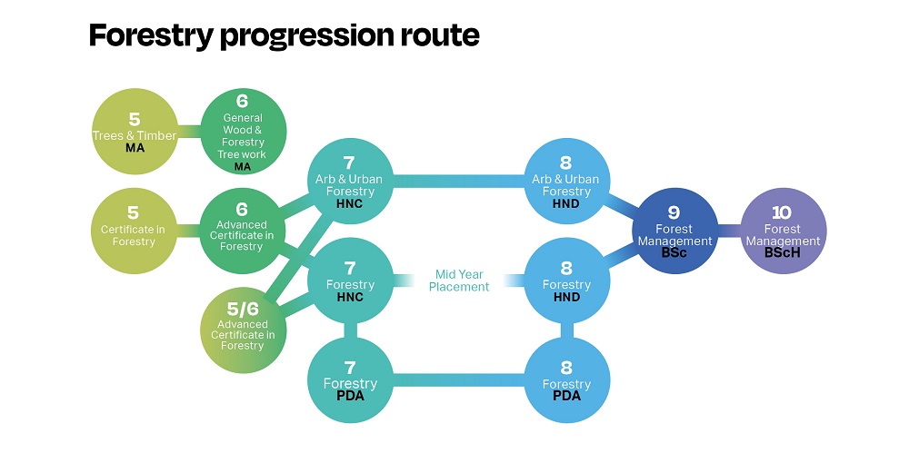 Forestry progression map