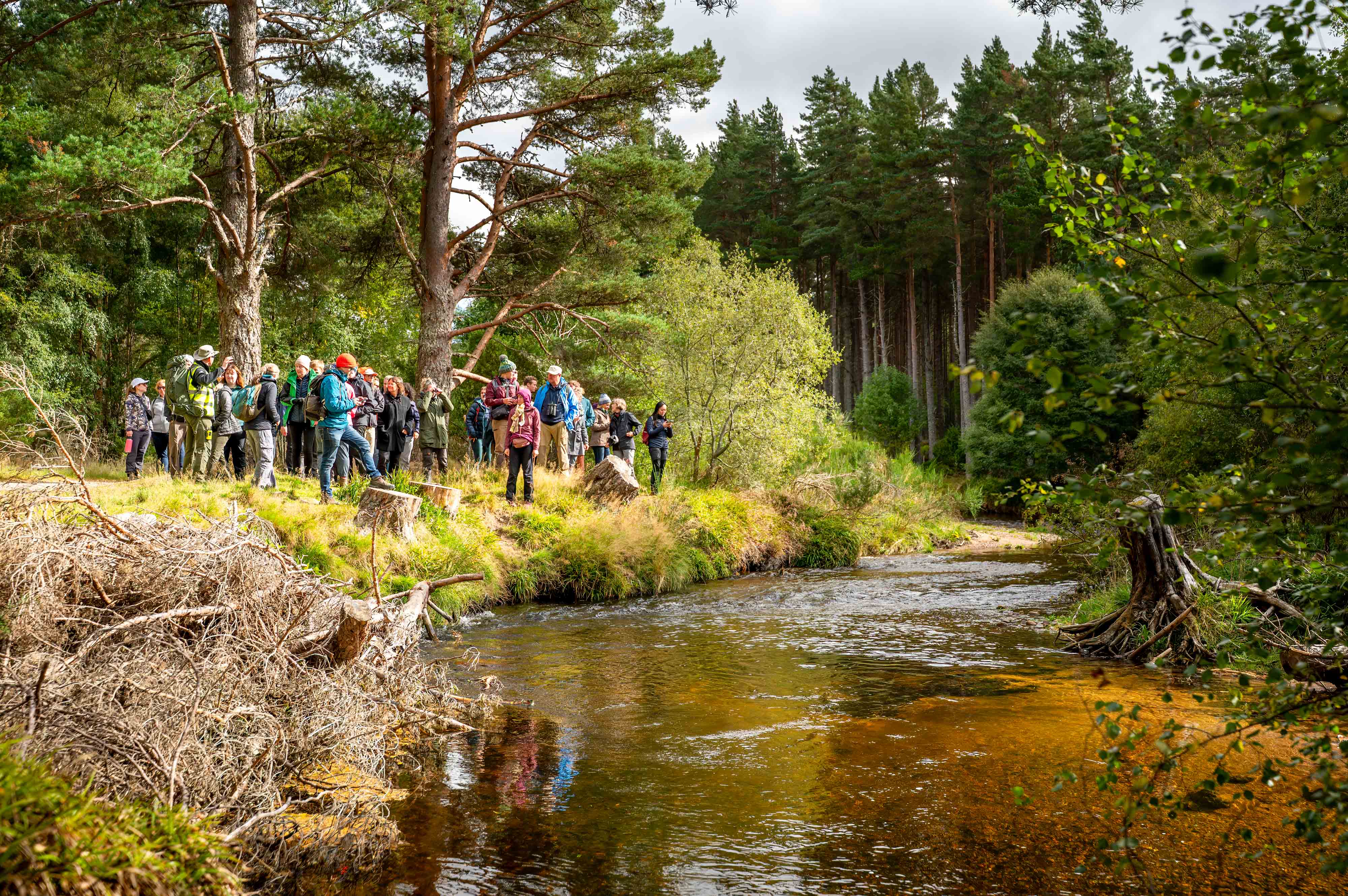 Global experts gather in Inverness as UK hosts beaver conference for first time!