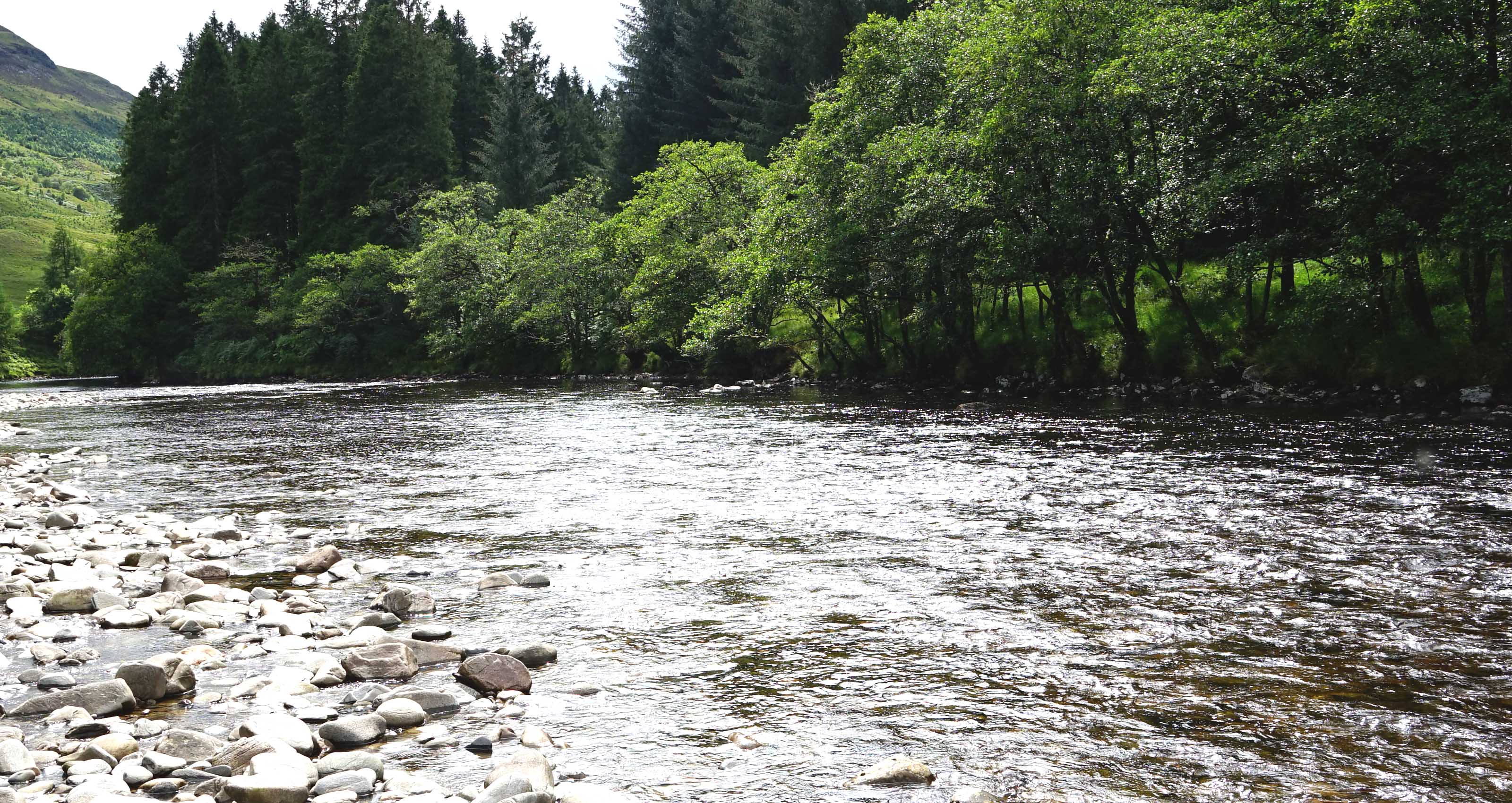 UHI Inverness researchers support ‘transformative’ River Dee salmon conservation project