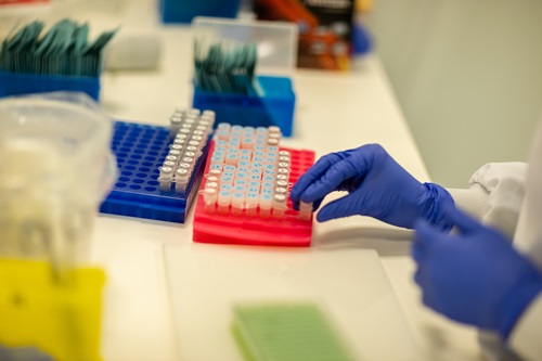 Hands in blue gloves using a laboratory testing kit.