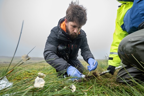 A researcher soil testing in a peat bog.