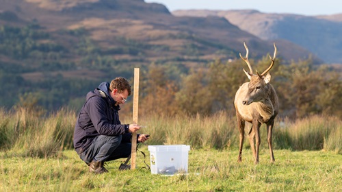 A male researcher kneeling alongside deer deterrent technology and a deer.