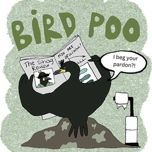 New DNA Study Sheds Light on Seabird Diets in Scottish Waters