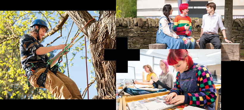 UHI Inverness forestry student up a tree and art student in the campus studio
