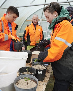 Students planting trees