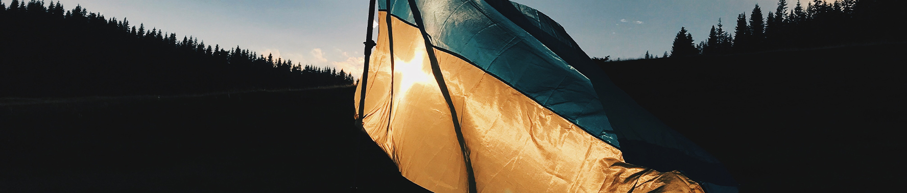 Ukraine Flag - Banner