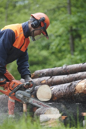 A forestry student with a chainsaw