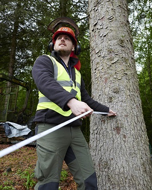 Student measuring a tree